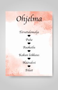 Ohjelmalehtinen