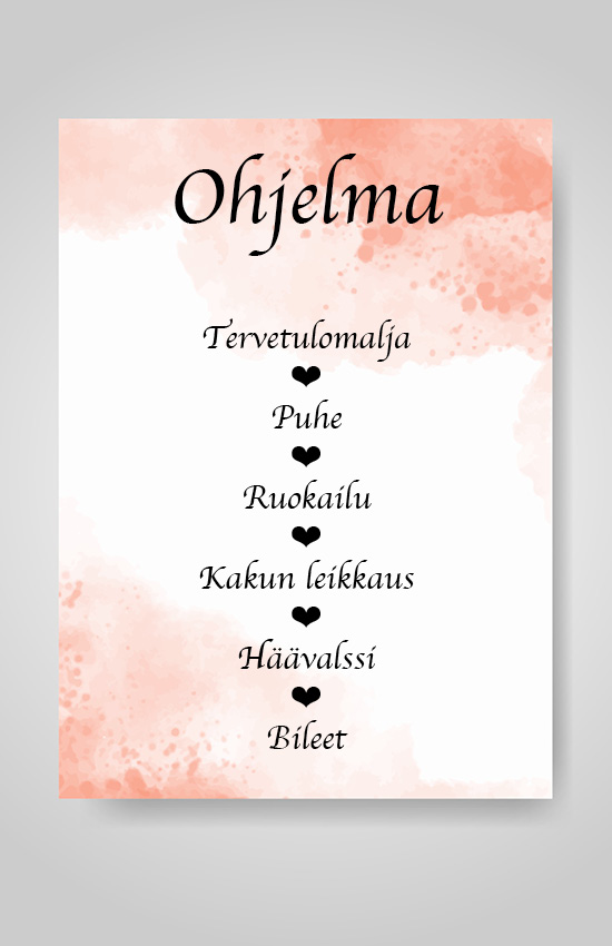 Ohjelmalehtinen